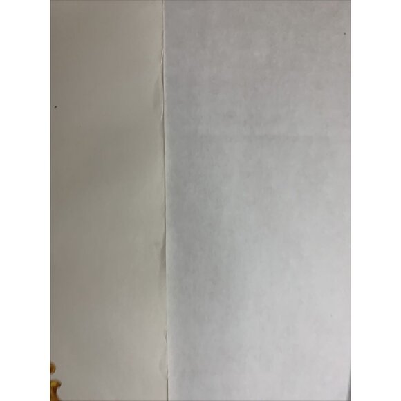 Walt Disney World 25th Anniversary Poster Cinderella Castle 1996 Vintage Disney - Picture 4 of 4